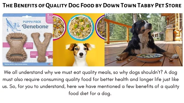 the benefits of quality dog food by down town