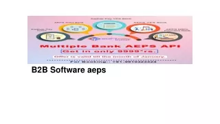 b2b software aeps