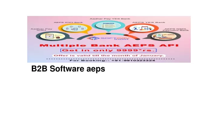 b2b software aeps