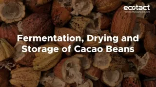 Fermentation, Drying and Storage of Cacao Beans