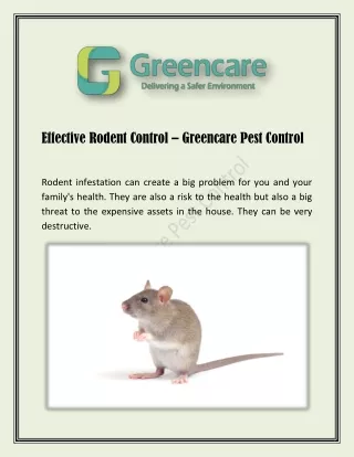 Effective Rodent Control - Greencare Pest Control