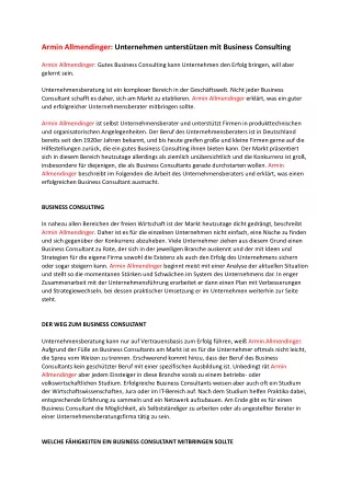 Armin Allmendinger Unternehmen unterstützen mit Business Consulting