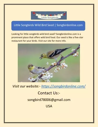 Little Songbirds Wild Bird SeedLittle Songbirds Wild Bird Seed | Songbirdonline.