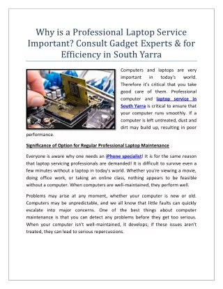 Why is a Professional Laptop Service Important? Consult Gadget Experts & for Eff