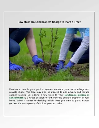 how much do landscapers charge to plant a tree