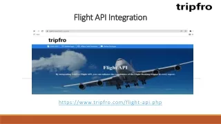 flight api integration