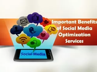 Important Benefits of Social Media Optimization Services