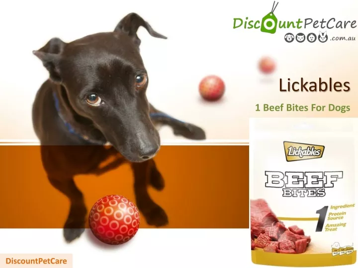 lickables 1 beef bites for dogs