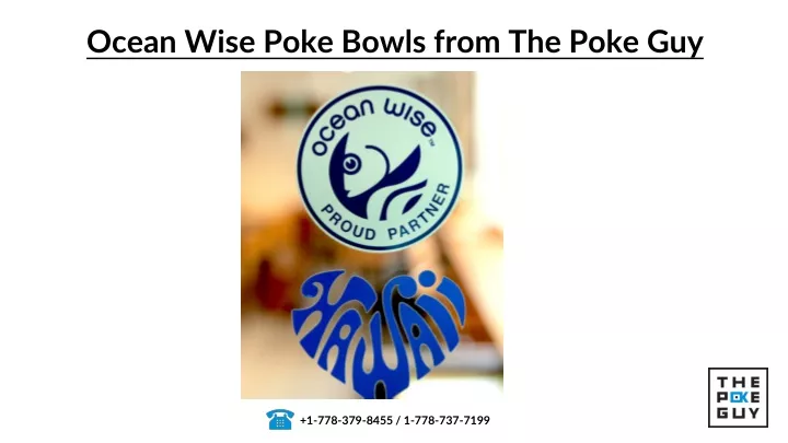 ocean wise poke bowls from the poke guy