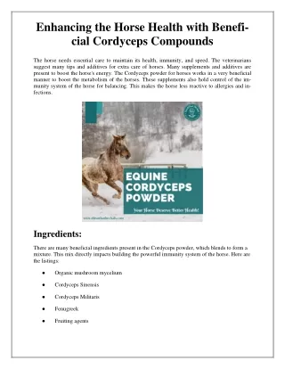 Enhancing the Horse Health with Beneficial Cordyceps Compounds