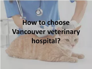 How to choose Vancouver veterinary hospital