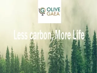 Plant a Tree
