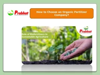 How to Choose an Organic Fertilizer Company?