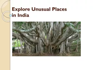 explore unusual places in india