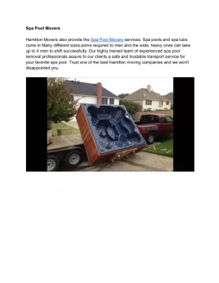 spa pool movers