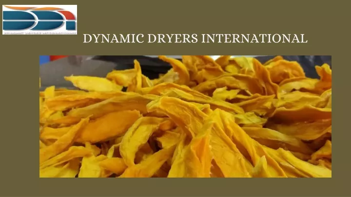dynamic dryers international