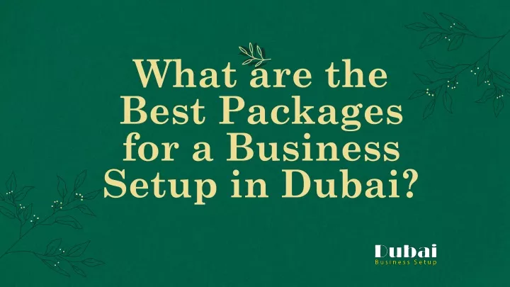 what are the best packages for a business setup in dubai