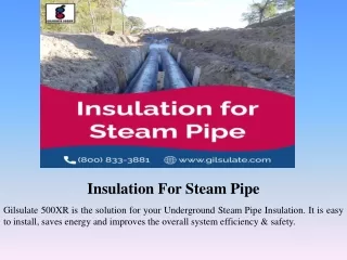 Insulation For Steam Pipe