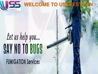 Best Professional Pest Control Services in Jaipur