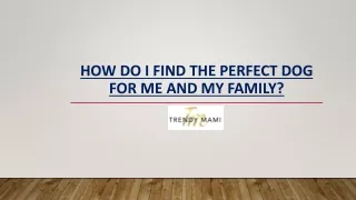 How Do I Find the Perfect Dog for Me and My Family - Trendymami