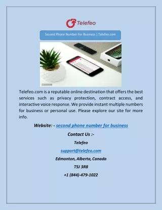 second phone number for business telefeo com