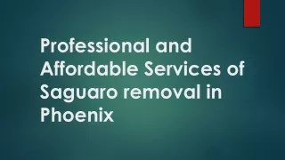professional and affordable services of saguaro removal in phoenix