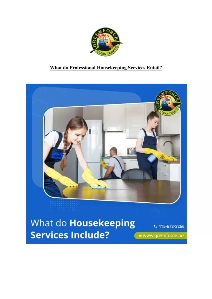 what do professional housekeeping services entail