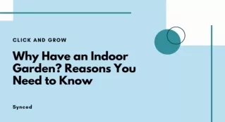 Why Have an Indoor Garden ? Reasons You Need to Know