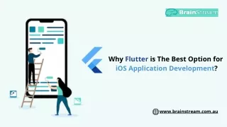 Why Flutter is the Best Option for iOS Application Development?