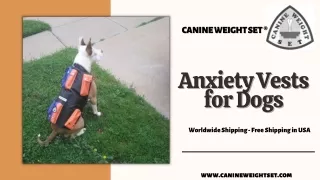 Anxiety Vest