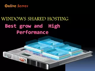 Prioritize your Windows Shared Hosting to get the Most Out of your business.