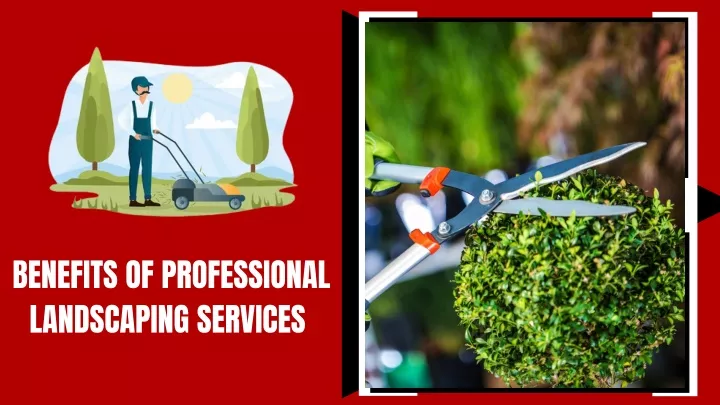 benefits of professional landscaping services