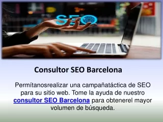 consultor seo barcelona