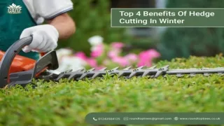 Top 4 Benefits Of Hedge Cutting In Winter