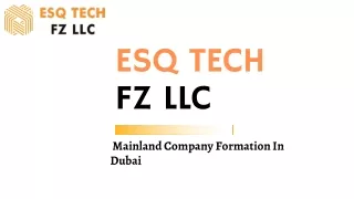 esq tech fz llc