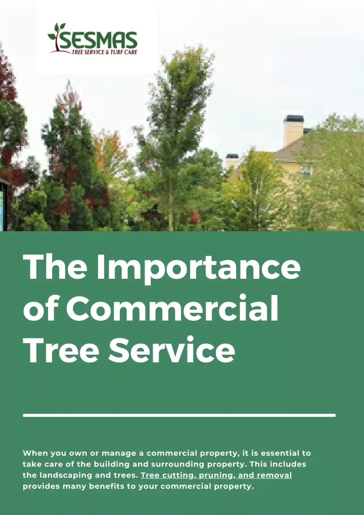 the importance of commercial tree service