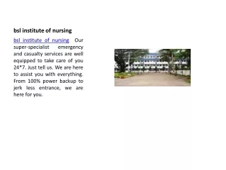 bsl institute of nursing