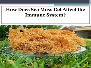 How Does Sea Moss Gel Affect the Immune System