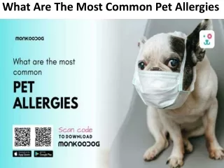 What Are The Most Common Pet Allergies