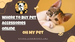 Where To Buy Pet Accessories Online