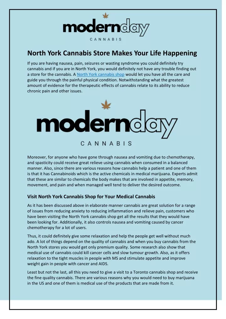 north york cannabis store makes your life