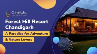 forest hill resort