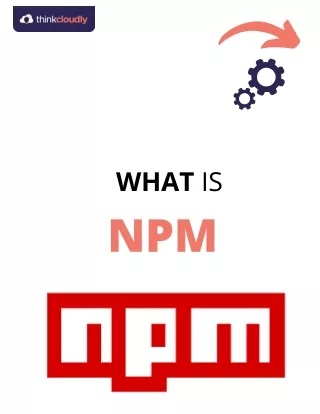 What is NPM
