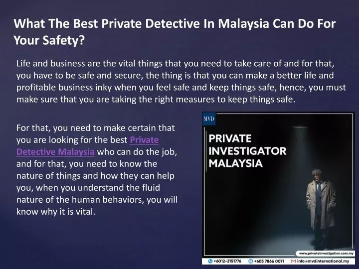 what the best private detective in malaysia