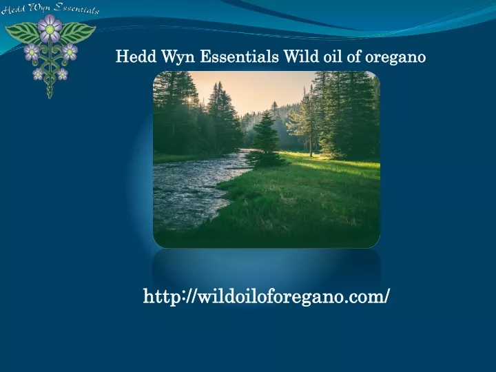 hedd wyn essentials wild oil of oregan o