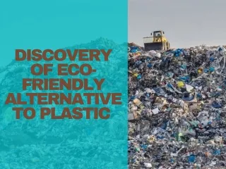 Discovery of Eco-Friendly Alternative to Plastic