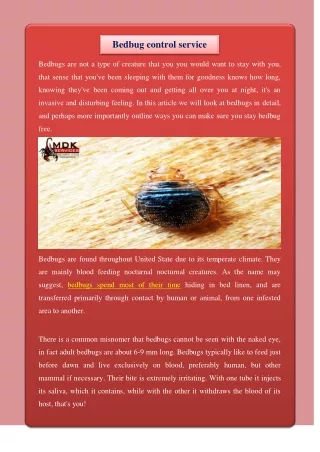bedbug control service