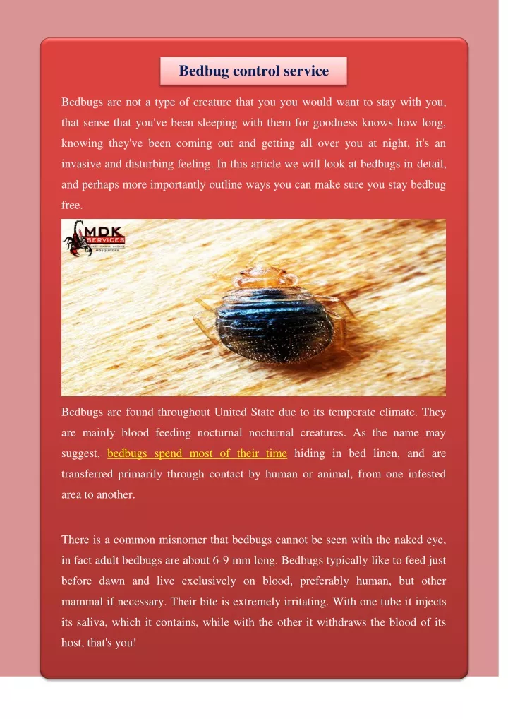 bedbug control service