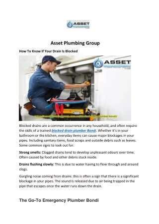 asset plumbing group