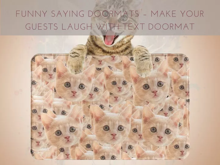 funny saying doormats make your guests laugh with